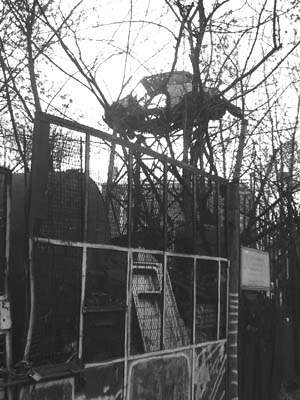 500b-20100223.jpg