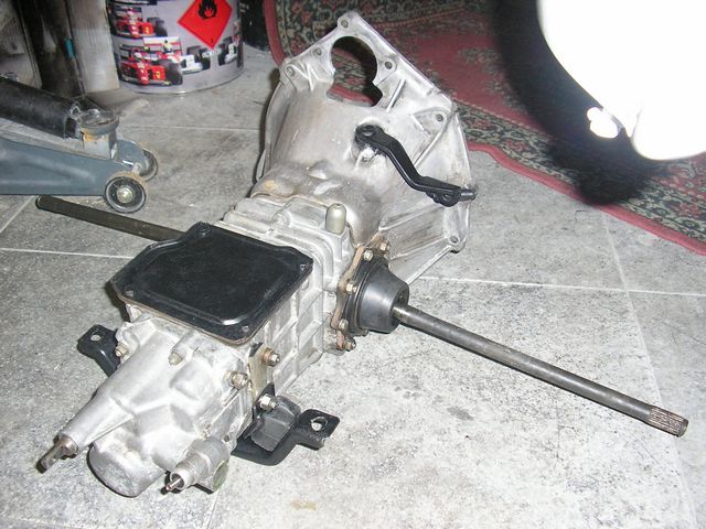 tn_P1011831.JPG