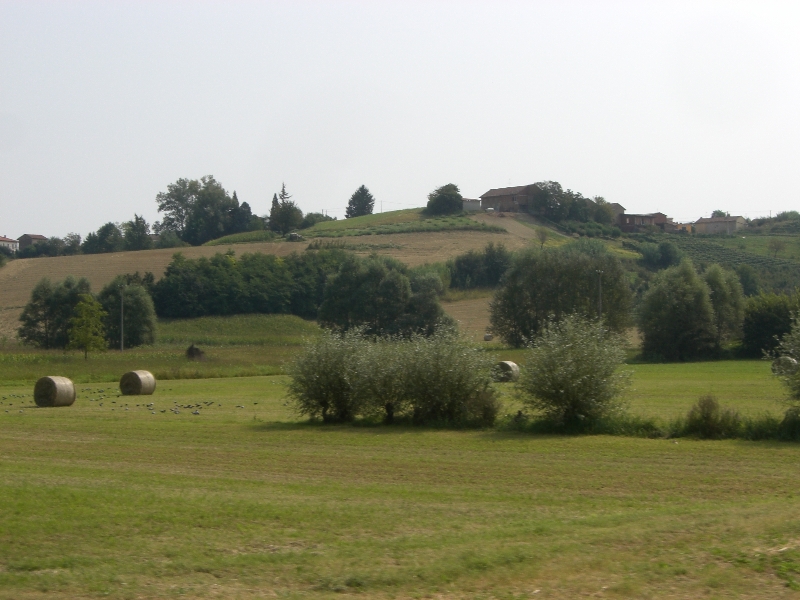 CIMG5208.JPG