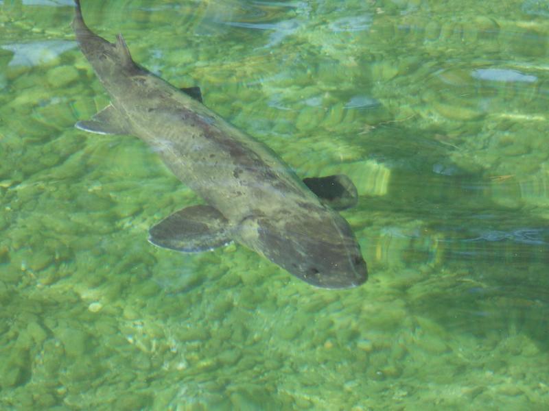 VARIE_500_219.jpg