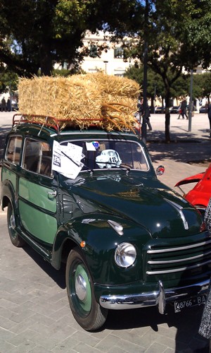 IMAG0209.jpg