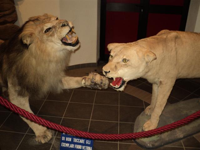 DSC00170_Small.JPG