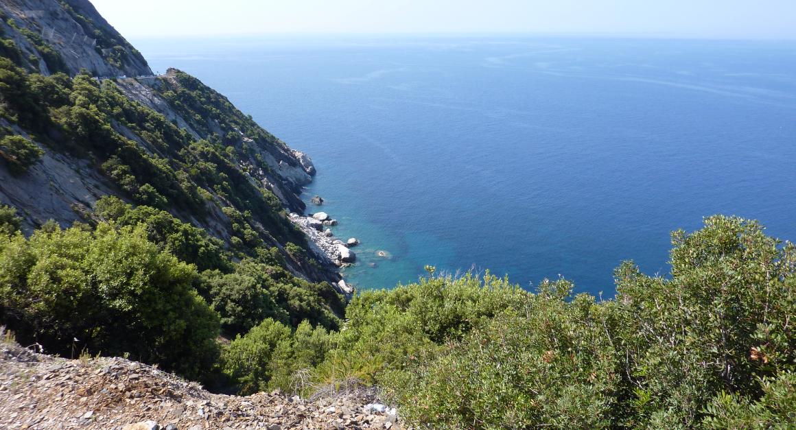 Elba8.jpg