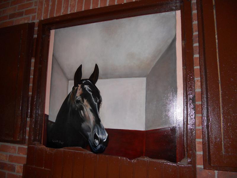 VARIE_500_350-20110606.jpg