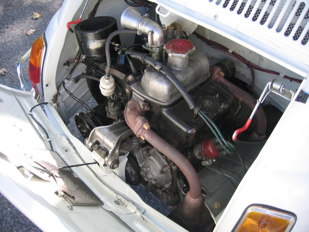 IMG_0498_compressa.jpg