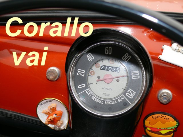 corallo.JPG