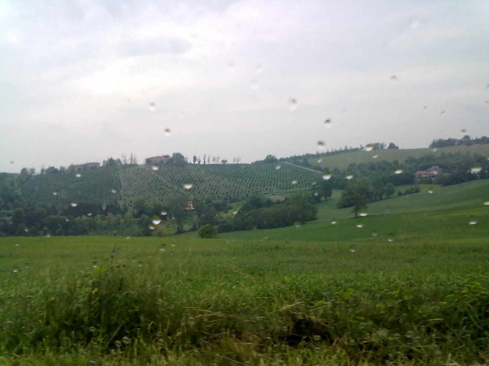 20052012027.jpg