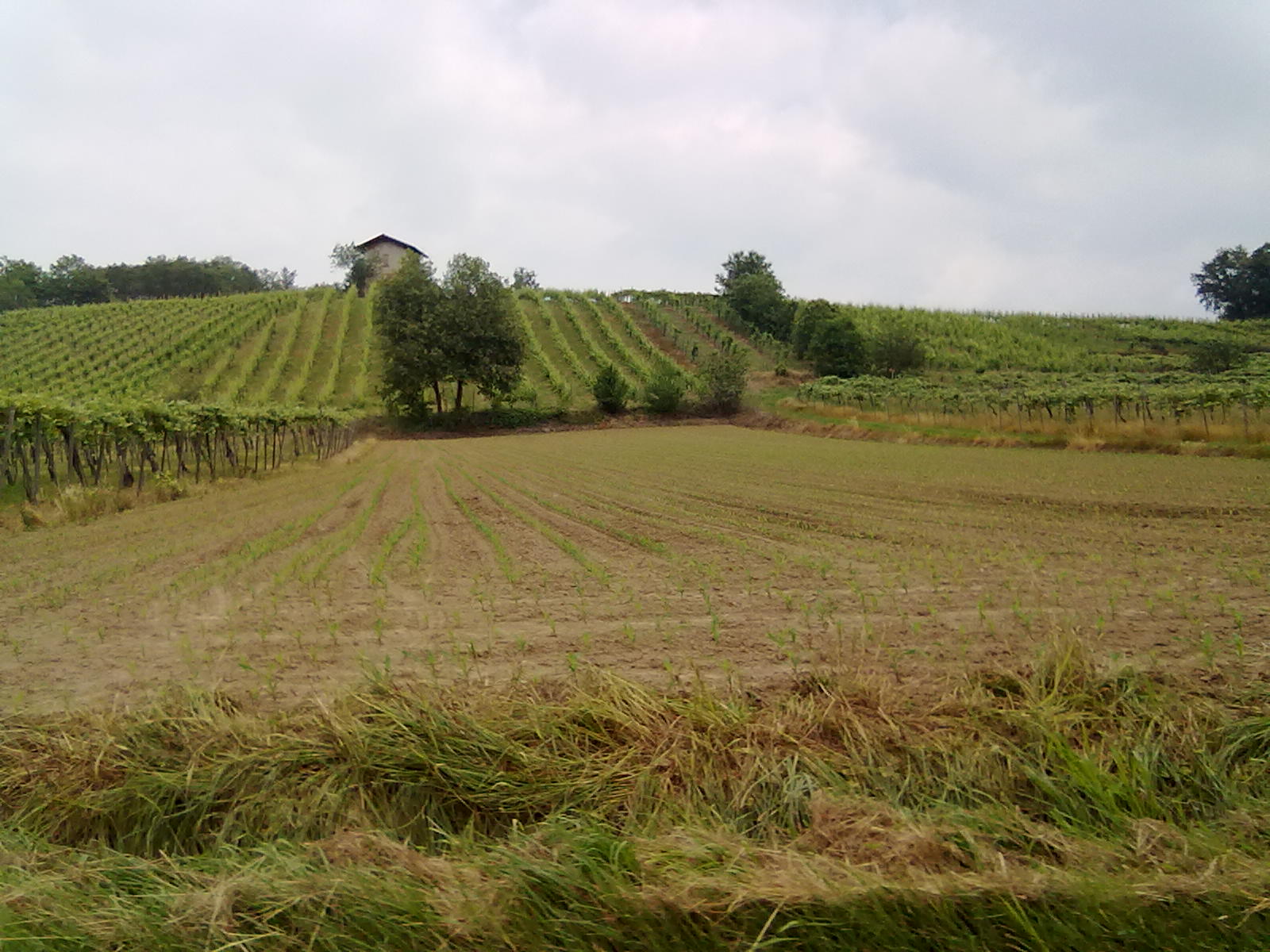 02062012050.jpg