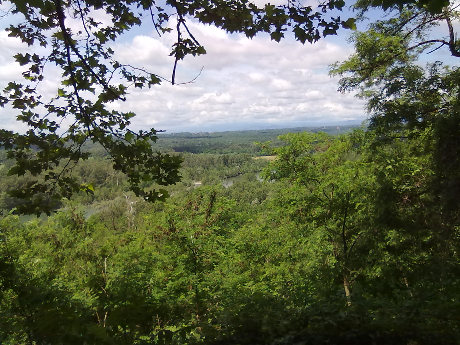 10062012084.jpg