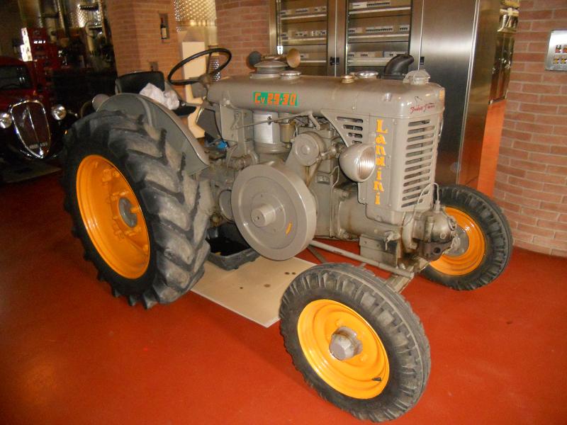 cornelianodalba2012010.jpg