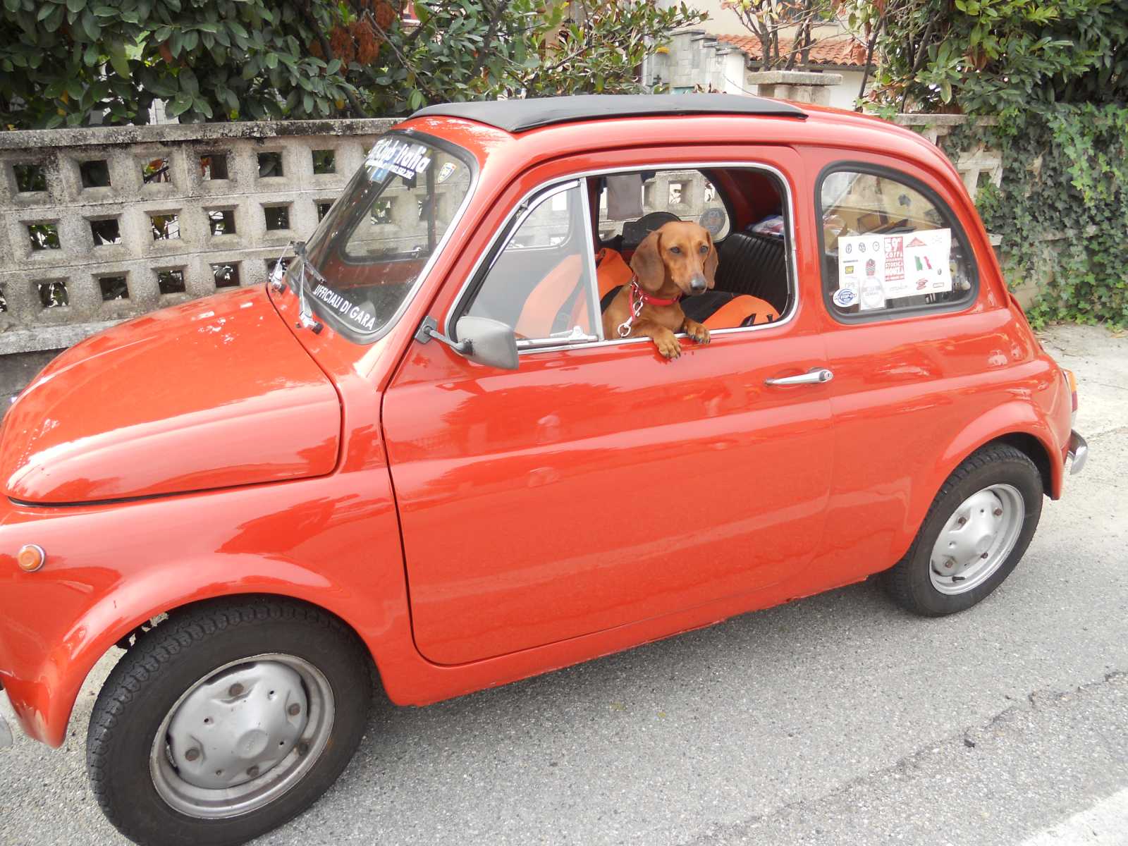 cornelianodalba2012012.jpg
