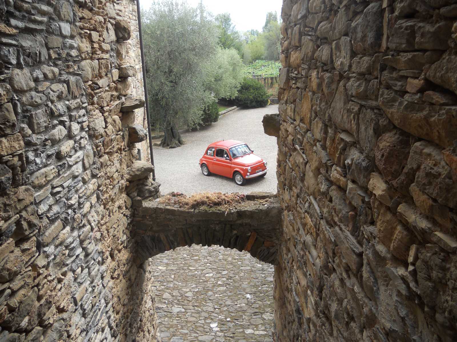 500Rgarlenda003.jpg