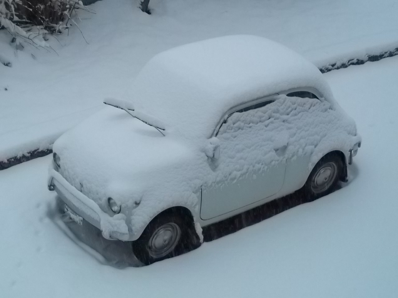 100_0291_2015-02-23.jpeg