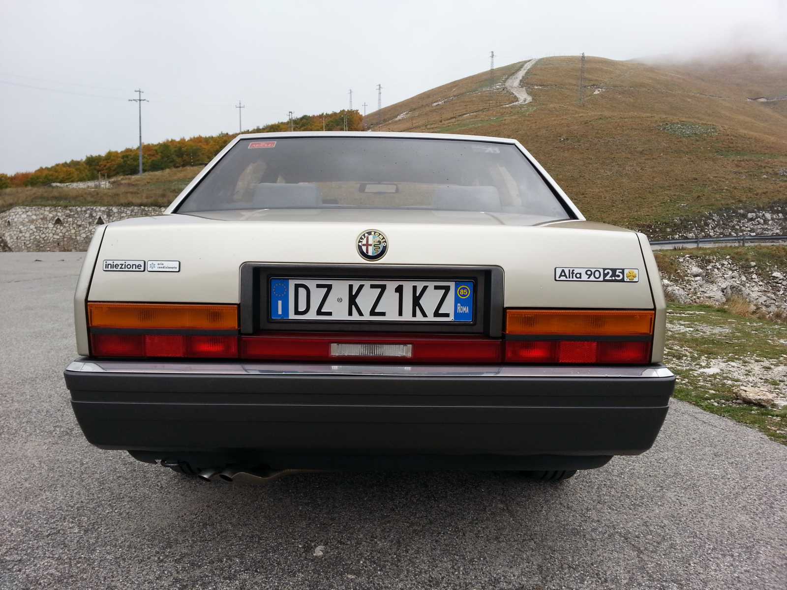 Alfa90targa.jpg