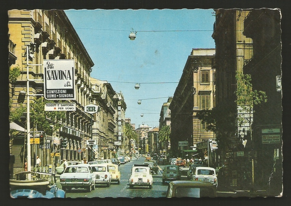 PApalermo4.jpg