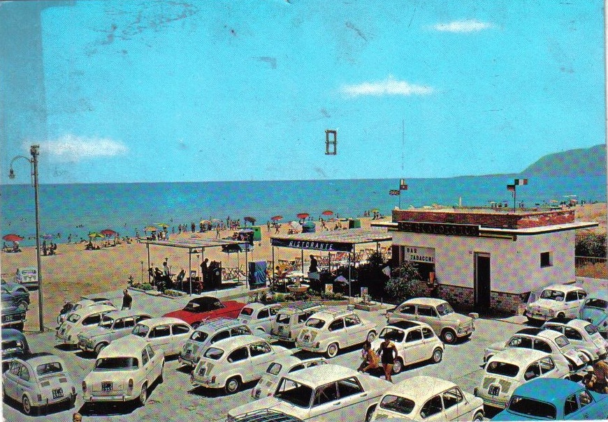 TPalcamomarina.jpg