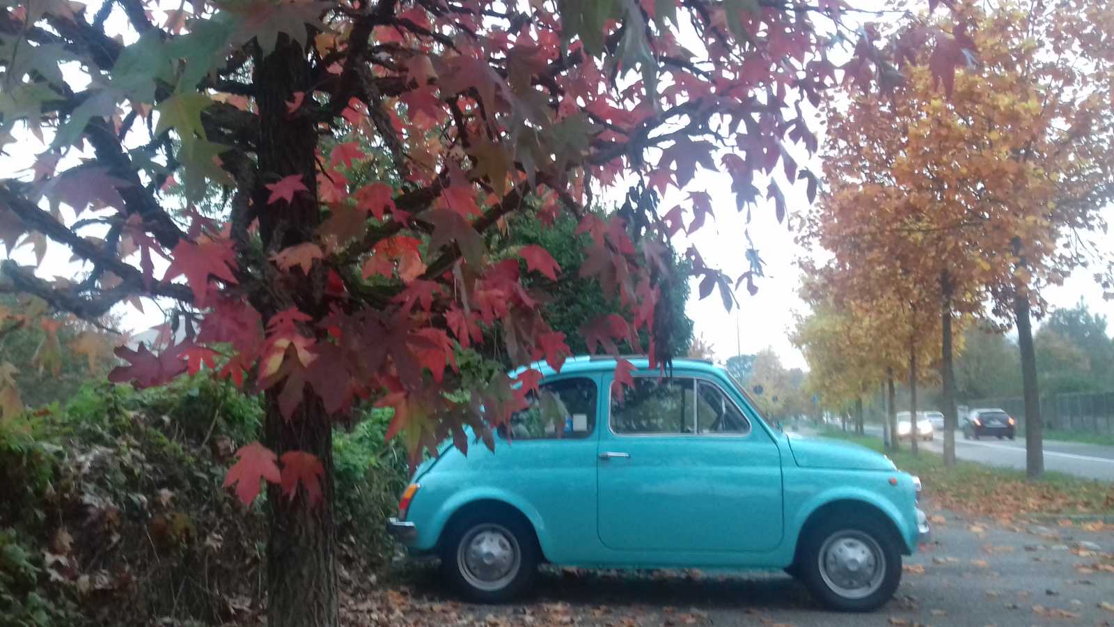 20161101_165822.jpg
