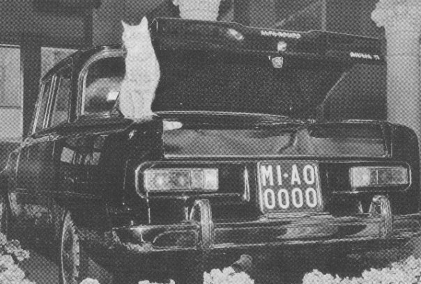 m2.jpg