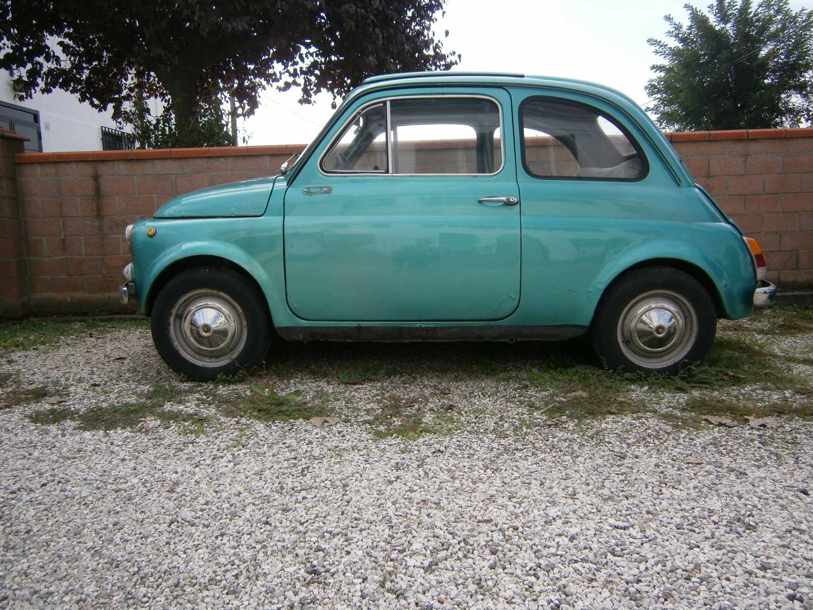 500035.jpg