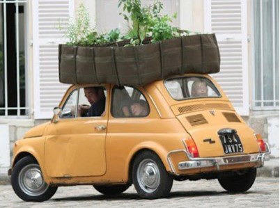 8ee1437e7d9d08d9f45b36ce30919929--fiat--s-fiat-.jpg