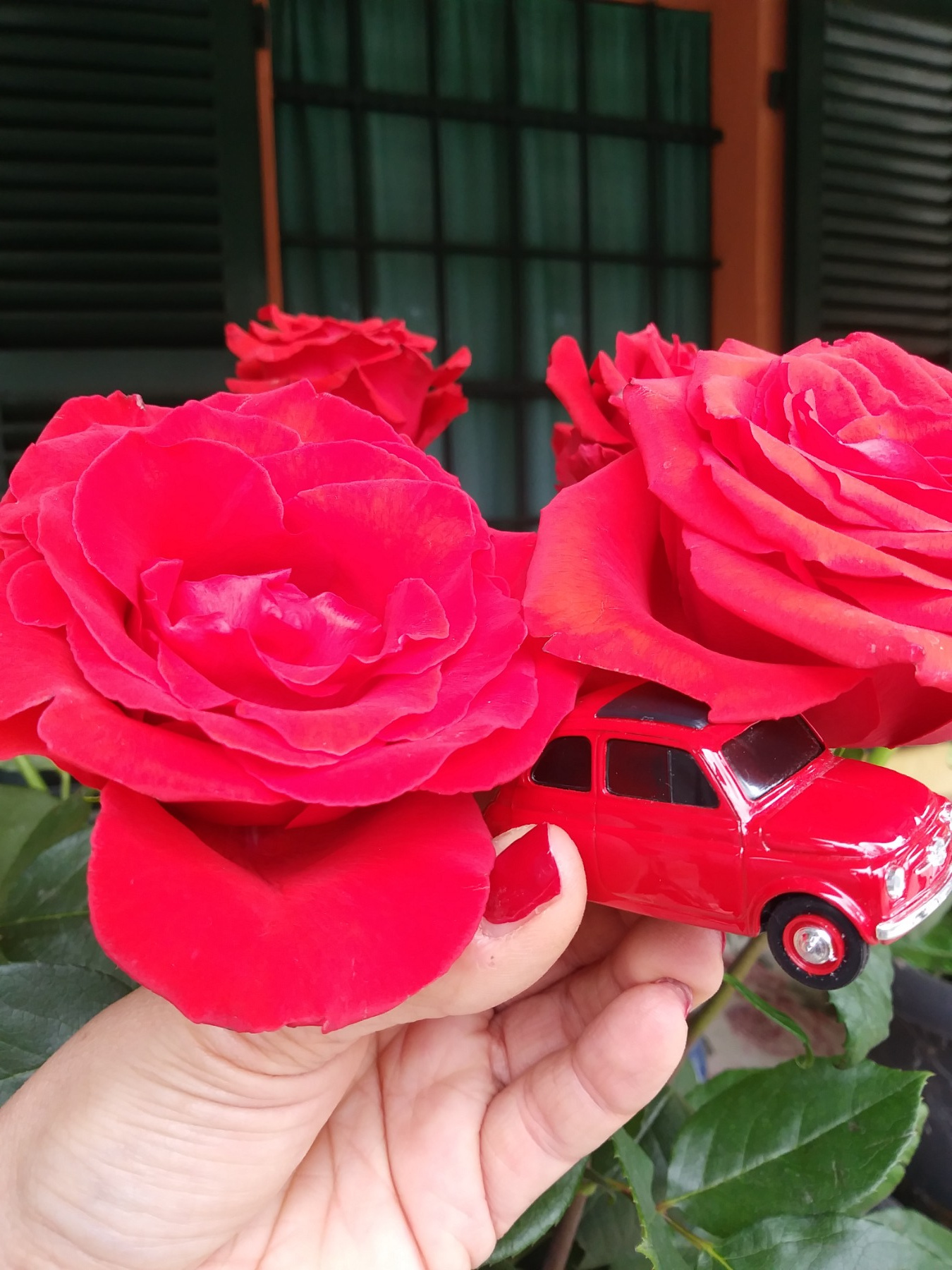 20190511_123605.jpg