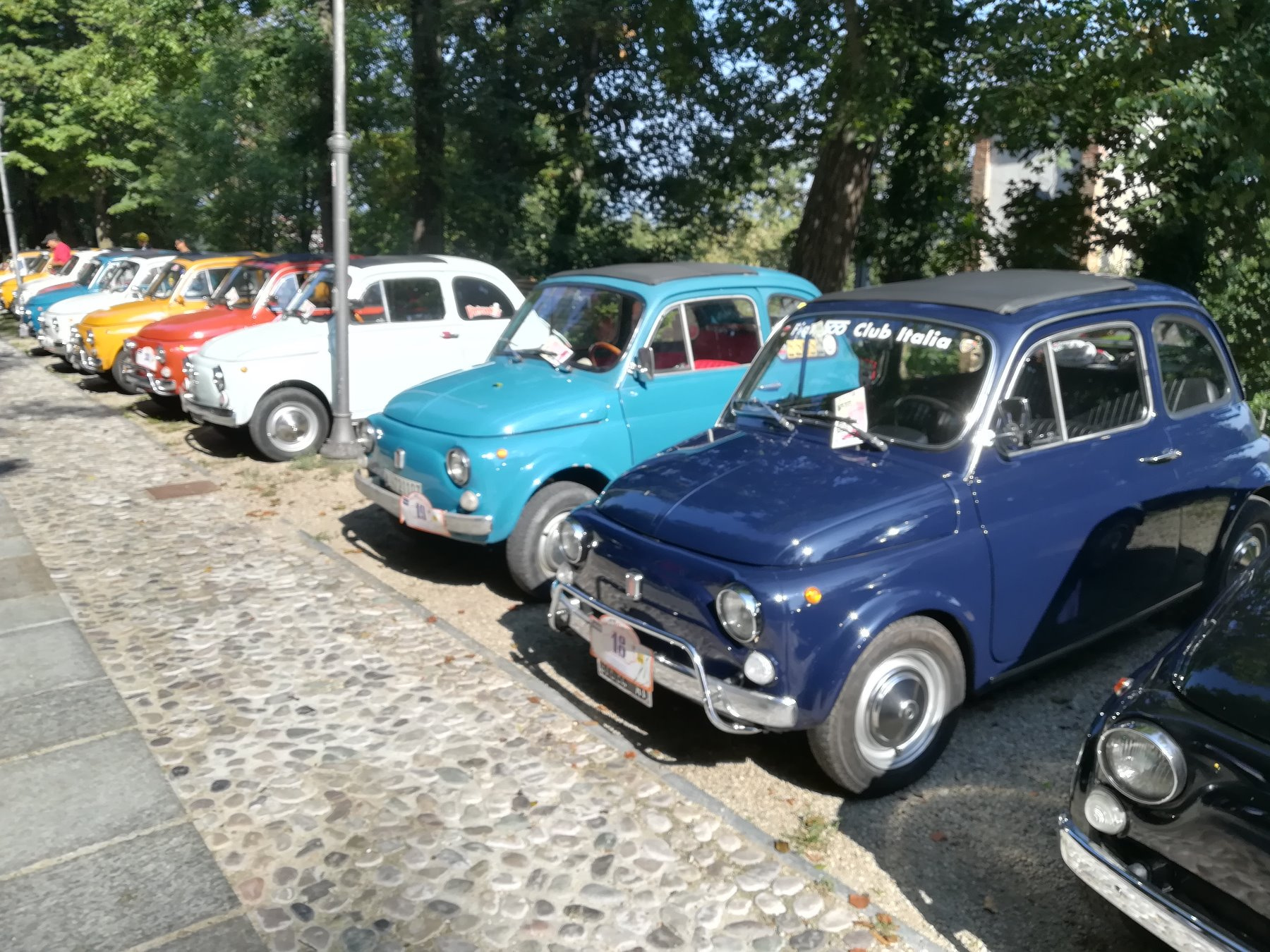 IMG_20190818_103205.jpg