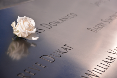 rose-ground-zero.jpg