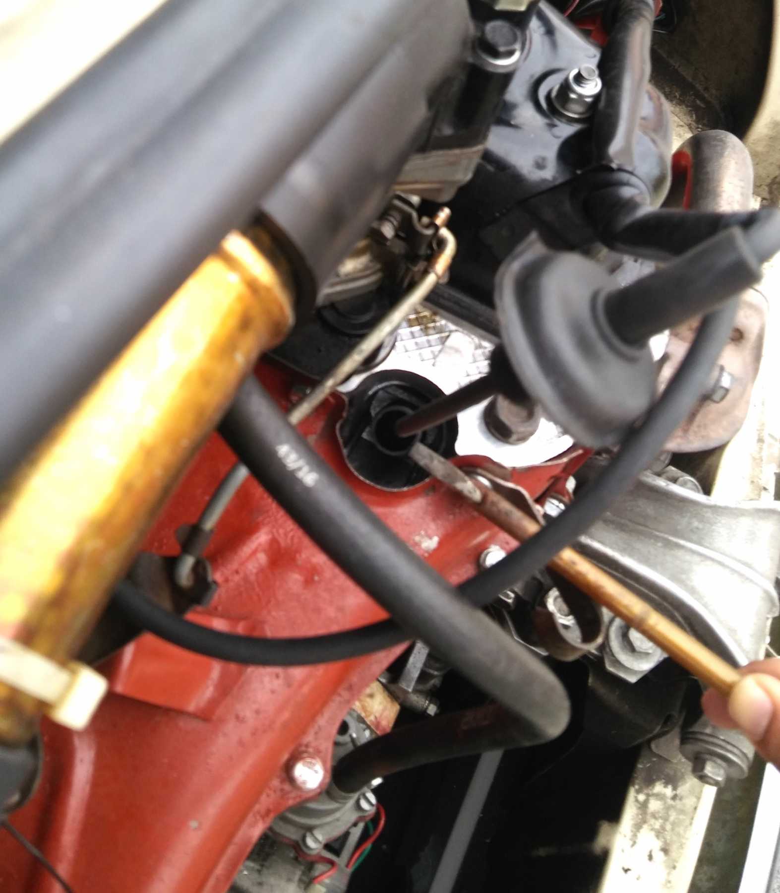 20191006_154535.jpg