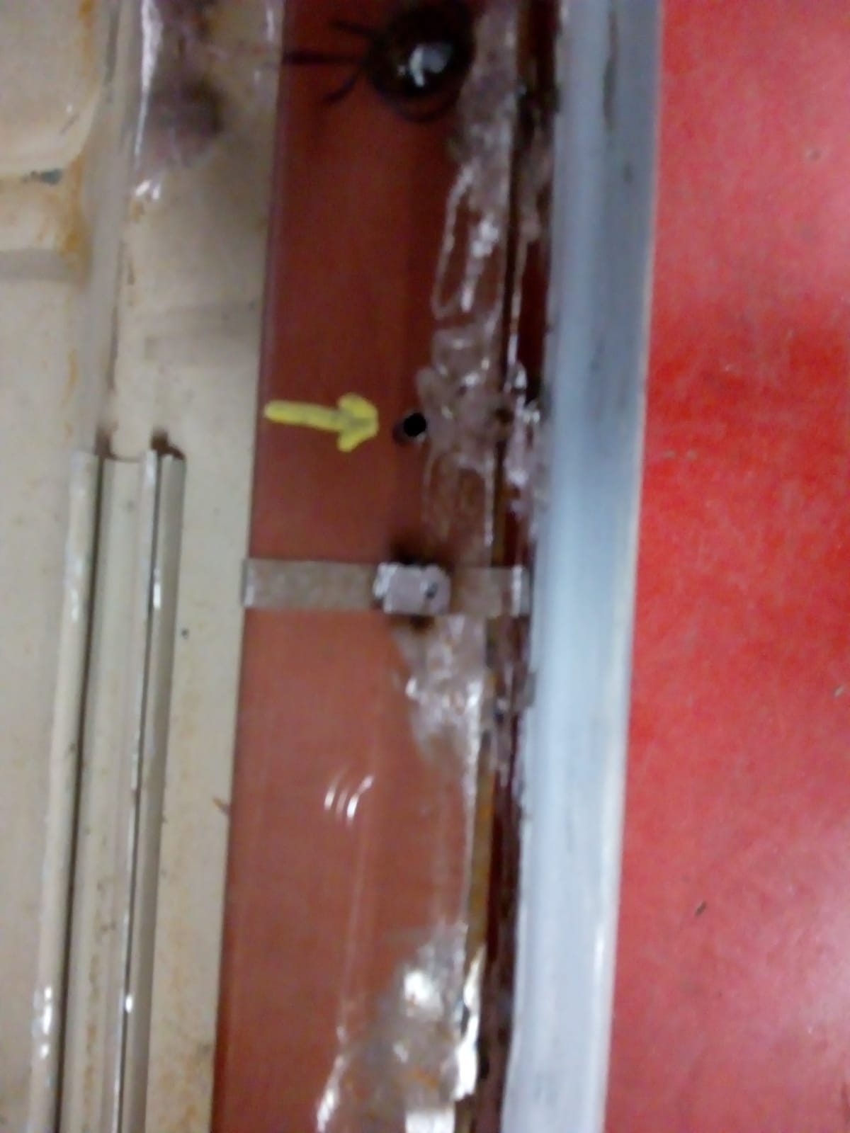 IMG-20200113-WA0033.jpg