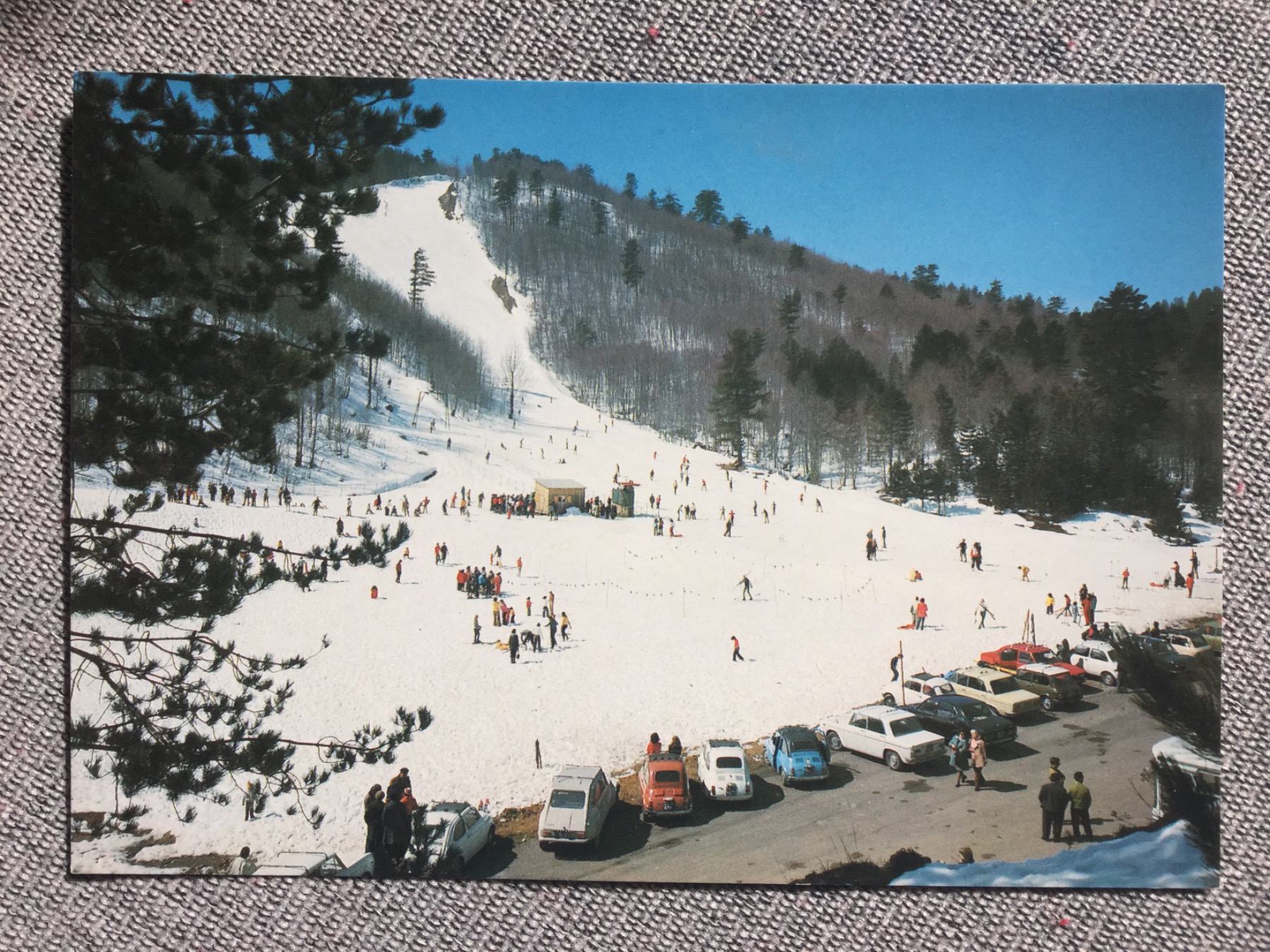 0406AFEF-EF8E-4D00-A34F-7F3F7BB5C059.jpeg
