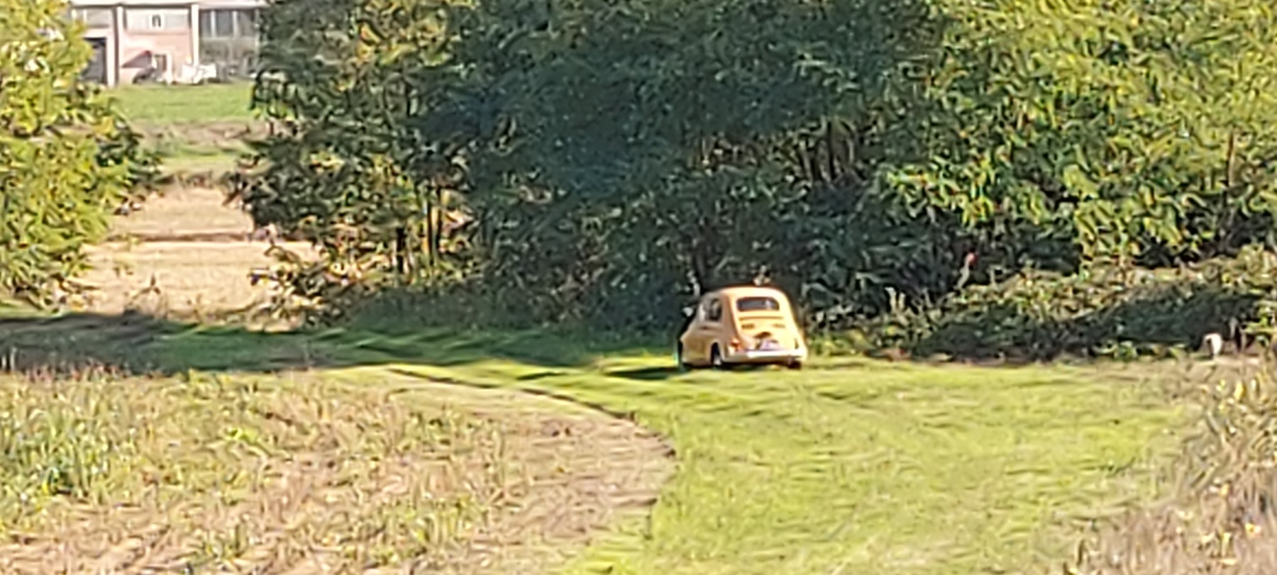 20211013_161002.jpg