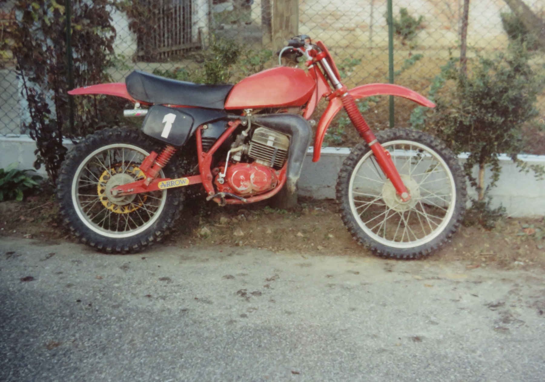 Tgm1.JPG