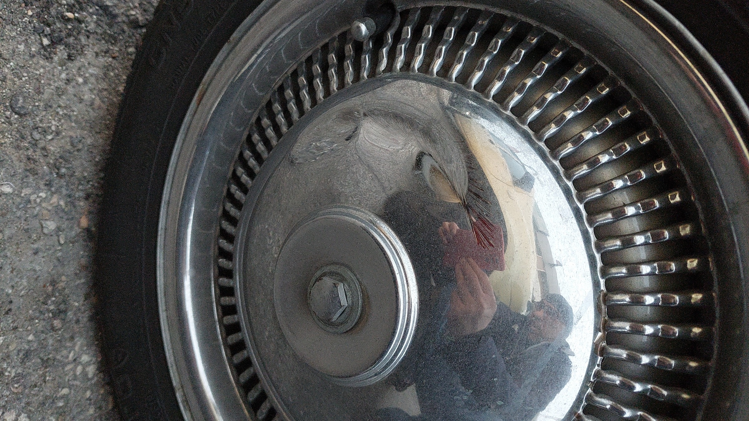 IMG-20230120-WA0003.jpeg