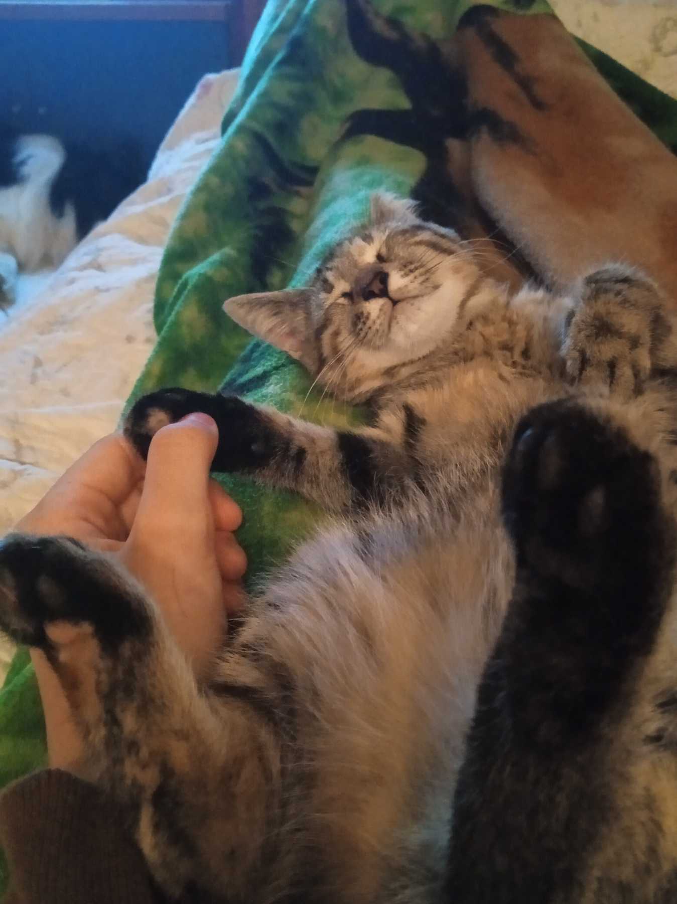 relax.jpg