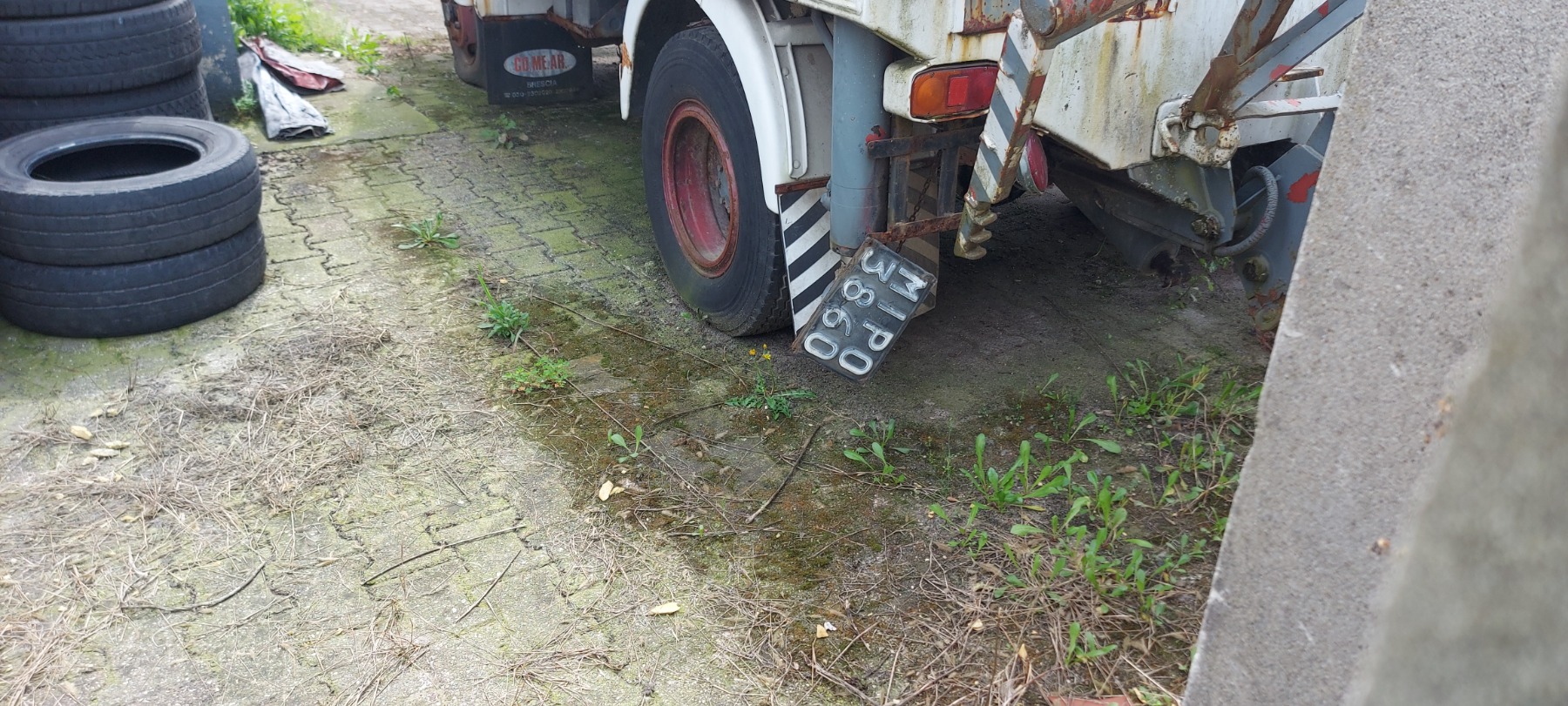 OM_2.jpg