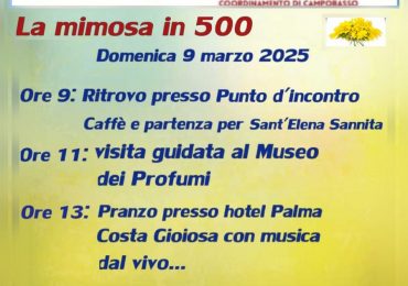 coord Campobasso - Fiat 500 Club Italia