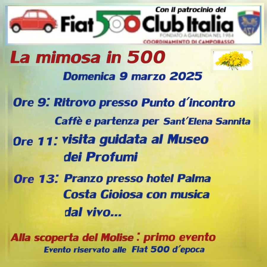 coord Campobasso - Fiat 500 Club Italia