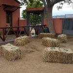 Cantine Zagarella