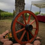 Cantine Zagarella