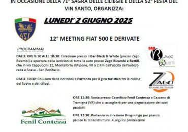 coord Verona - Fiat 500 Club Italia