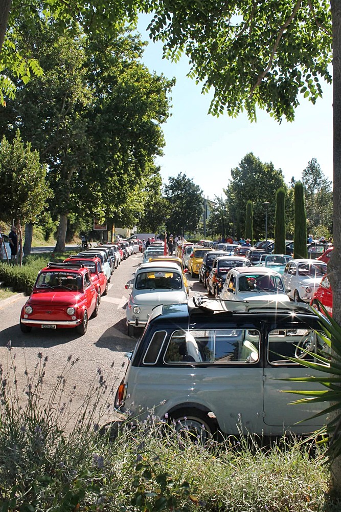 Raduno Mari e Monti 2025